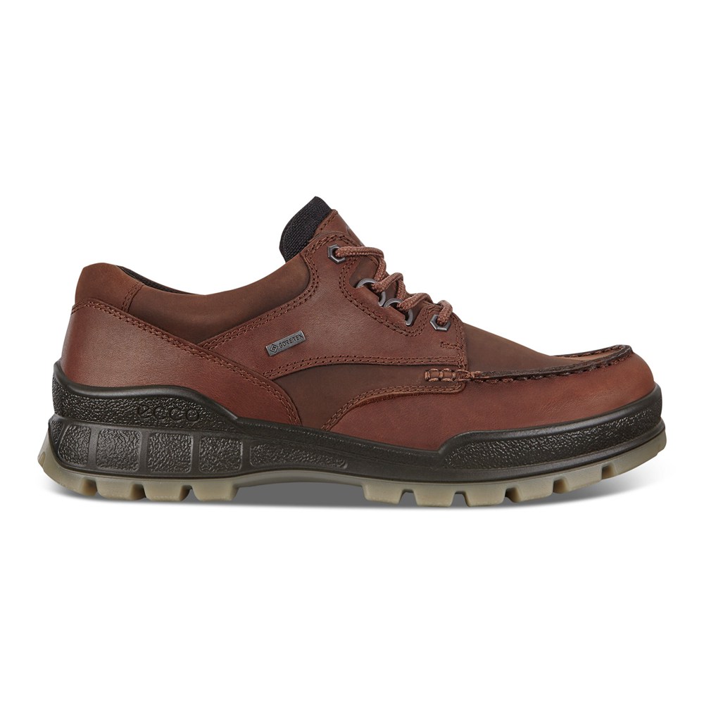 Mens Hiking Shoes - ECCO Track 25 - Brown - 6239SBWRP